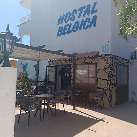 Hostal Bélgica Palmanova Exterior foto
