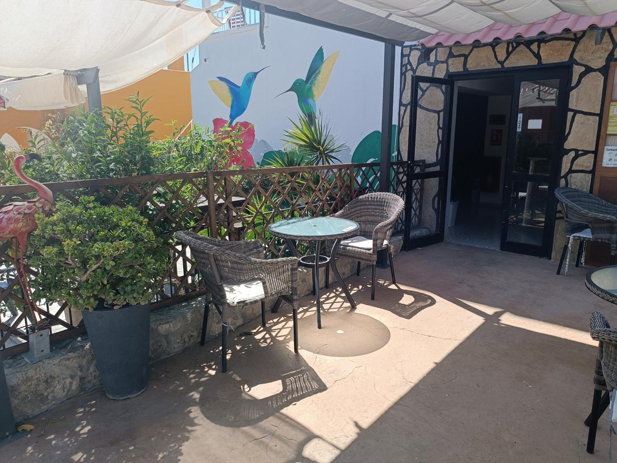 Hostal Bélgica Palmanova Exterior foto